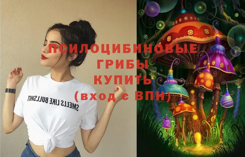 Псилоцибиновые грибы Psilocybe  ОМГ ОМГ ТОР  Котовск  где купить наркоту 